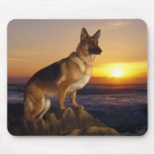 ジャーマン・シェパードの犬またはアルザス人のポートレート マウスパッド