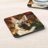 ジャーマン・シェパードの紅葉 コースター (左側)
