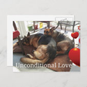 ジャーマン・シェパードの郵便はがき ポストカード (正面/裏面)