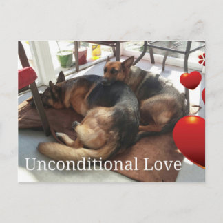 ジャーマン・シェパードの郵便はがき ポストカード