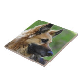 ジャーマン・シェパードのHeadshot タイル (側面)