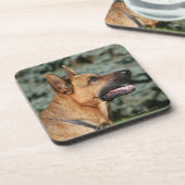 ジャーマン・シェパードのHeadshot 1 コースター (左側)