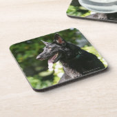 ジャーマン・シェパードのHeadshot 2 コースター (左側)