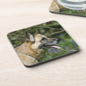 ジャーマン・シェパードのHeadshot 3 コースター (左側)