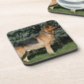 ジャーマン・シェパードショーの立場 コースター (左側)