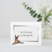 ジャーマン・シェパードペットシンパシー喪失 ポストカード (スタンド正面)