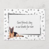 ジャーマン・シェパードペットシンパシー喪失 ポストカード (正面)