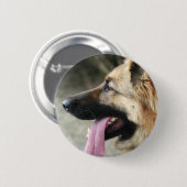 ジャーマン・シェパードボタン 缶バッジ (正面&裏面)