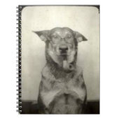 ジャーマン・シェパード犬のヴィンテージのテーマの螺線形ノート ノートブック (正面)