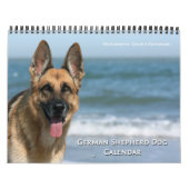 ジャーマン・シェパード犬の壁掛けカレンダー カレンダー (カバー)