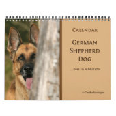 ジャーマン・シェパード犬の壁掛けカレンダー カレンダー (カバー)