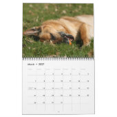 ジャーマン・シェパード犬の壁掛けカレンダー カレンダー (3月 2027)