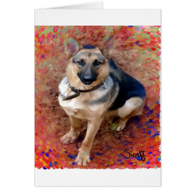 ジャーマン・シェパード犬 (正面)