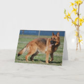 ジャーマン・シェパード カード (黄色い花)