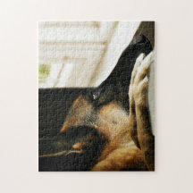 ジャーマン・シェパード