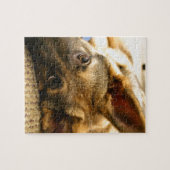 ジャーマン・シェパード ジグソーパズル (横)