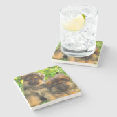 ジャーマン・シェパード ストーンコースター (横)