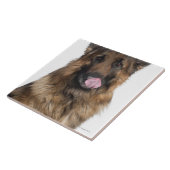 ジャーマン・シェパード タイル (側面)