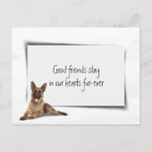 ジャーマン・シェパード 追悼 ペットロス ポストカード (正面)