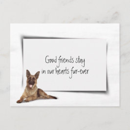 ジャーマン・シェパード 追悼 ペットロス ポストカード