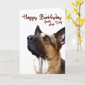 ジャーマン・シェパードfromthedog1 カード (黄色い花)