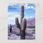 ジュイ州サボテン – アルゼンチン北部 ポストカード (正面)