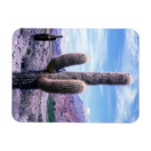 ジュイ州サボテン – アルゼンチン北部 マグネット (横)