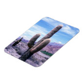 ジュイ州サボテン – アルゼンチン北部 マグネット (左側)