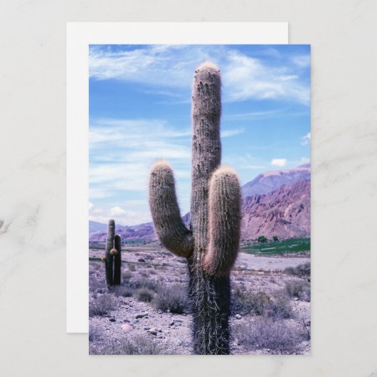 ジュイ州サボテン – アルゼンチン北部 招待状 (正面/裏面)