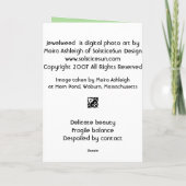 ジュエルウィード カード (裏面)