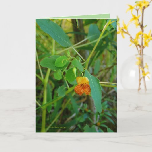 ジュエルウィード カード (黄色い花)