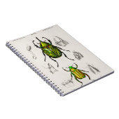 ジュエルスカラブイースタンヘキュールビートル ノートブック (右側)