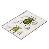 ジュエルスカラブイースタンヘキュールビートル ノートブック (左側)