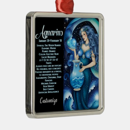 ジュエルパーソナライズされた銀河系〔占星術の〕十二宮図アクエリアス メタルオーナメント (右)