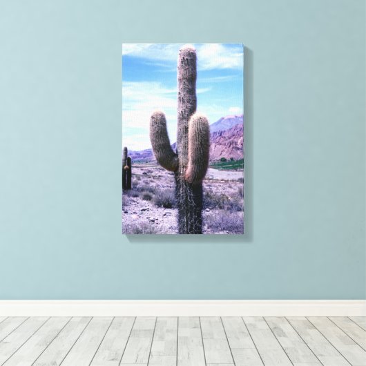 ジュジュイ州のキリンサボテン - 北アルゼンチン キャンバスプリント (インサイチュ (ウッドフロア))