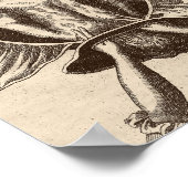 ジュスティンシーゲムントコート助産師誕生イラストレーション ポスター (角)