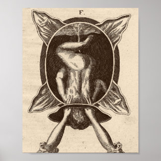 ジュスティンシーゲムントコート助産師誕生イラストレーション ポスター