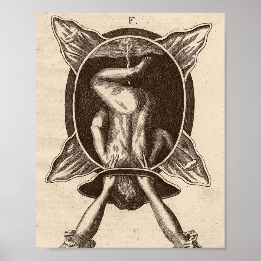 ジュスティンシーゲムントコート助産師誕生イラストレーション ポスター (正面)