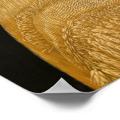 ジュゼッペアルカンボルド – 夏 ポスター (角)