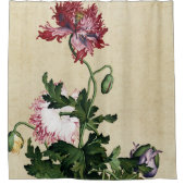 ジュゼッペカスティリオーネ – ポピーファインアート シャワーカーテン (正面)