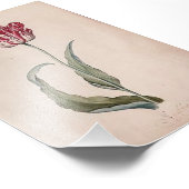 ジュディスレイスターチューリッププリント フォトプリント            (角)