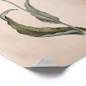 ジュディス・レイスター・チューリップ・ポスター ポスター (角)