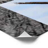 ジュニアを育てるハゲワシ ポスター (コーナー)