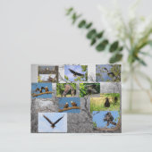 ジュニアを育てるハゲワシ ポストカード (スタンド正面)