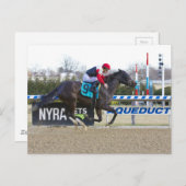 ジュニアアルバラド、フラットカーム ポストカード (正面/裏面)