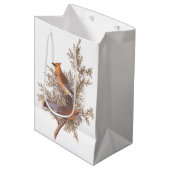 ジュニパーでオードゥボンシダーウェイングソンバード ミディアムペーパーバッグ (正面アングル)