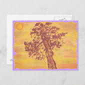 ジュニパーの木の夕日 ポストカード (正面/裏面)