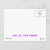 ジュニパーの木の夕日 ポストカード (裏面)