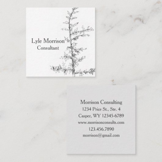 ジュニパーツリーブランチペンインクスケッチ白黒 スクエア名刺 (正面/裏面)