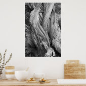 ジュニパートランク ポスター (キッチン)